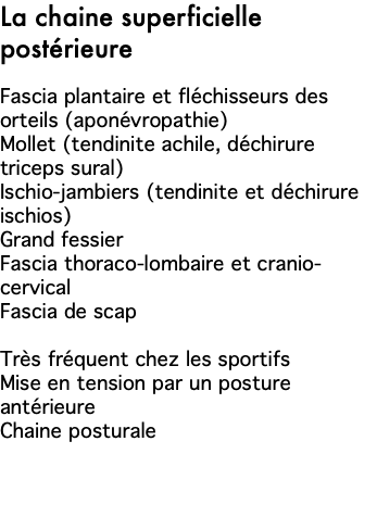 La chaine superficielle postérieure Fascia plantaire et fléchisseurs des orteils (aponévropathie) Mollet (tendinite achile, déchirure triceps sural) Ischio-jambiers (tendinite et déchirure ischios) Grand fessier Fascia thoraco-lombaire et cranio-cervical Fascia de scap Très fréquent chez les sportifs Mise en tension par un posture antérieure Chaine posturale 